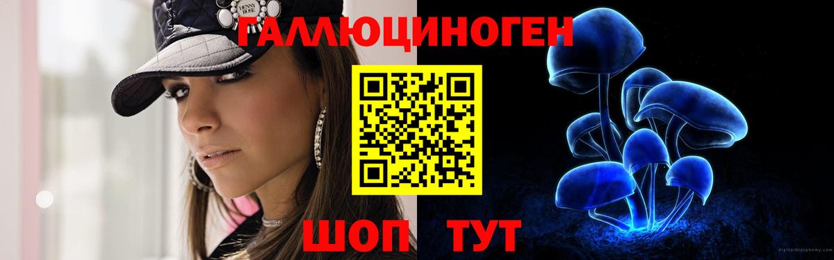 Бор  Псилоцибиновые грибы Cubensis  где можно купить   Вход с VPN 